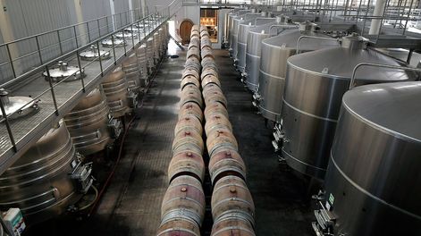 Para la vitivinicultura la retención se reduce al 8% y se incluye al mosto. Foto: Orlando Pelichotti