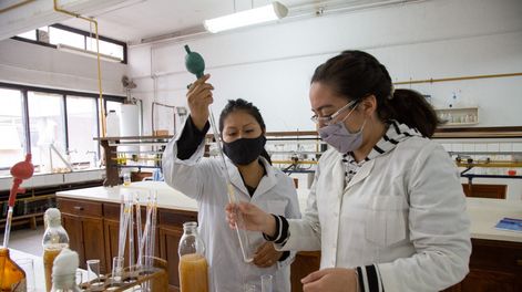 El aporte femenino en la ciencia es muy valorado, pero en el mercado no refleja el ascenso a puestos altos del género femenino. 