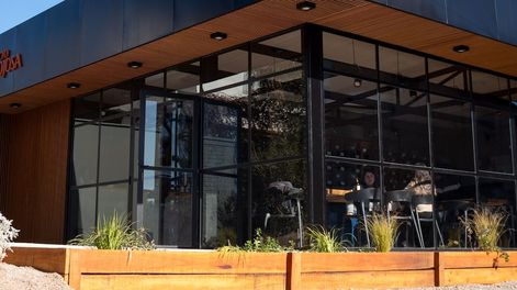 Bodega Hinojosa: Magia Vitivinícola y Gastronómica a Precios Amigables en el Valle de Uco