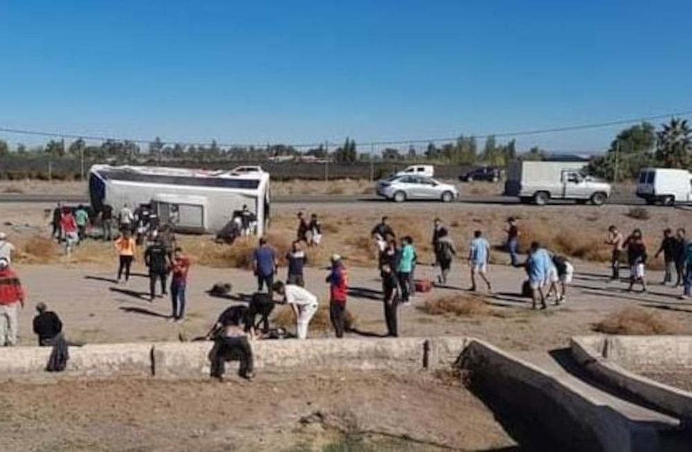 Un nueva alianza entre organismos nacionales e internacionales busca evitar incidentes en micros de media y larga distancia. Foto gentileza.