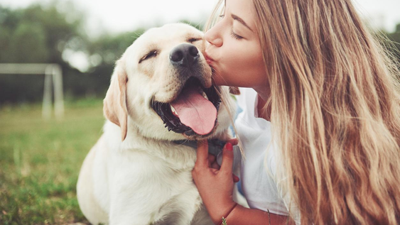 9 razas de perros que te amaran mas que a cualquier otra cosa