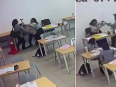 El ataque le ocasionó cortes en los brazos a la docente.