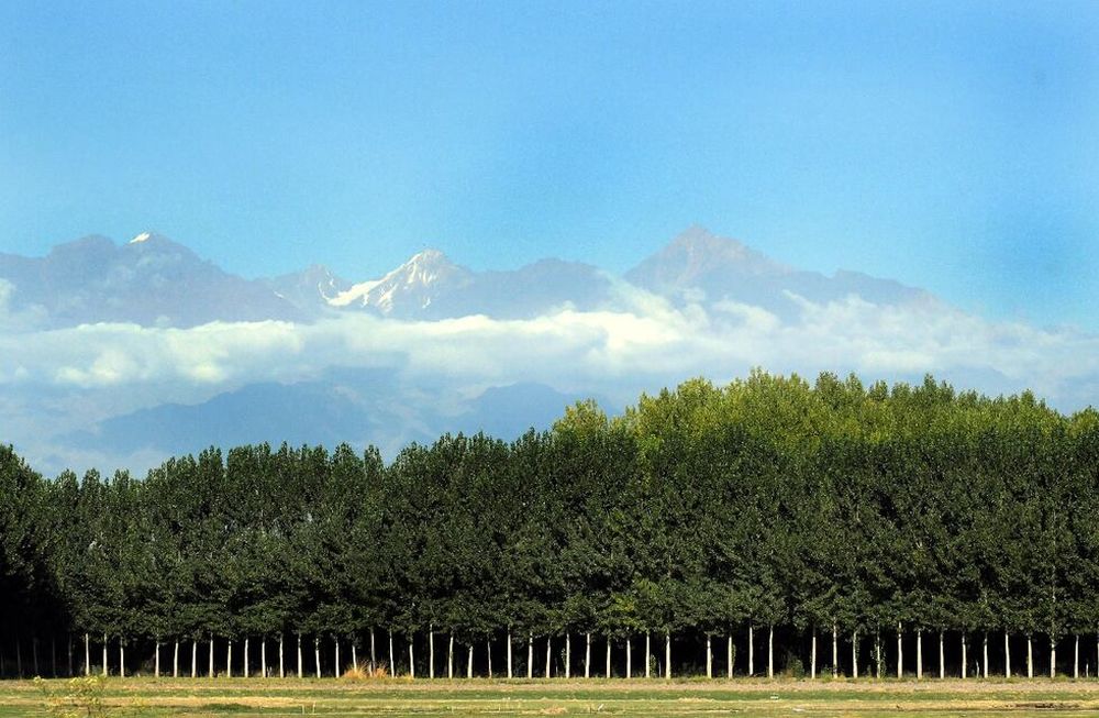 Pronóstico del tiempo para este miércoles: bueno y con ascenso de la temperatura en Mendoza.