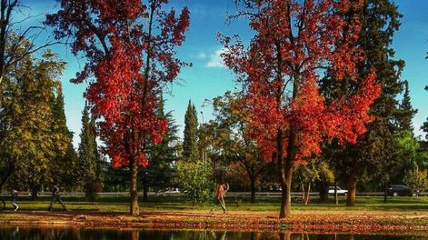 Pronóstico del tiempo. Se espera una jornada cálida de otoño en Mendoza. - Archivo / Los Andes