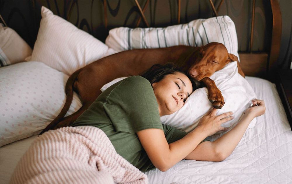 Esta conexión emocional entre personas y mascotas fortalece las relaciones humanas y mejora la salud mental.