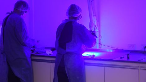 Los Andes | Como CSI, pero en la vida real: así trabaja el laboratorio de huellas genéticas más avanzado de América