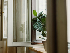 el truco de limpieza aleman que ventila tu casa en segundos con solo dos materiales y casi nadie usa el truco de limpieza aleman que ventila tu casa en segundos con solo dos materiales y casi nadie usa