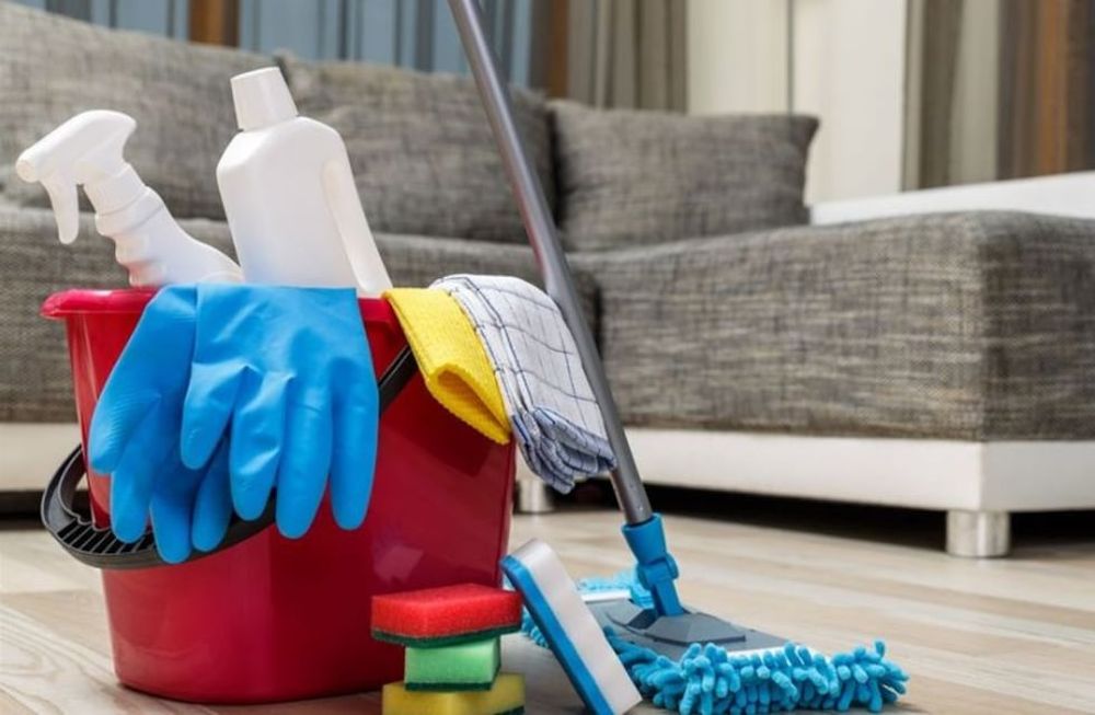 Cuáles son los pasos para tener en blanco a la empleada doméstica