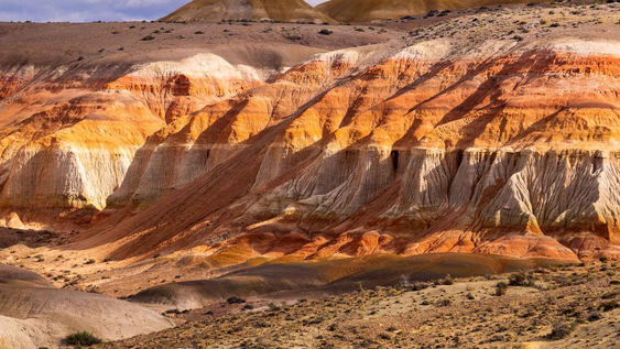 un bosque petrificado en argentina que te transporta a la era de dinosaurios: un paseo que no hay que perderse