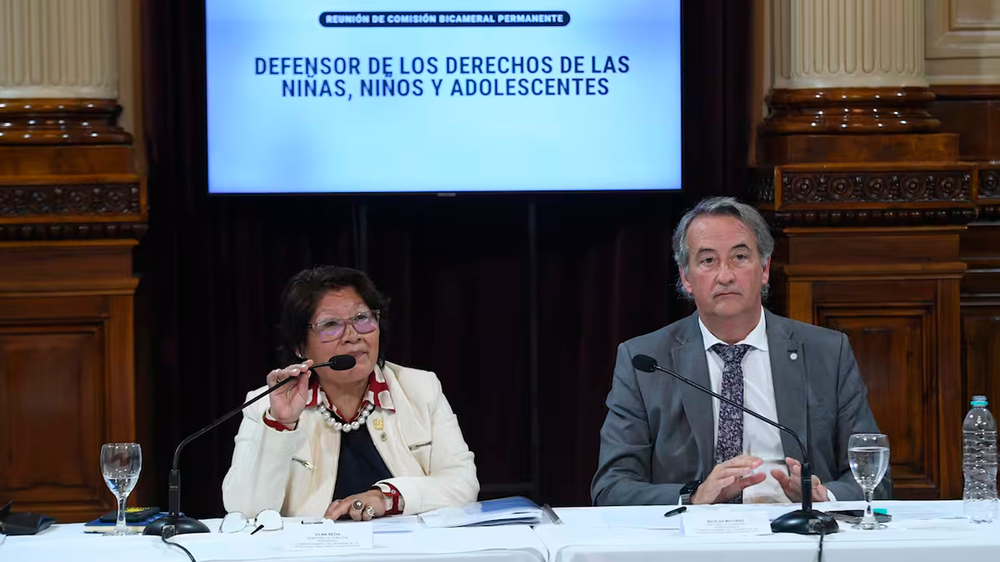 Vilma Bedia (senadora) y Nicolás Mayoraz (diputado), designados presidente y vice de la Comisión Bicameral del Defensor de los Derechos de Niños y Adolescentes. (archivo)