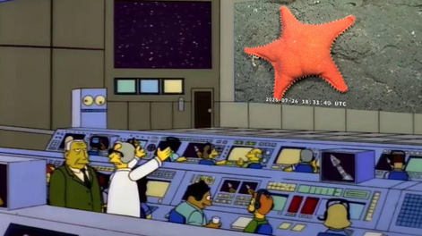 La expedición del Conicet en Mar del Plata generó una ola de memes en las redes sociales