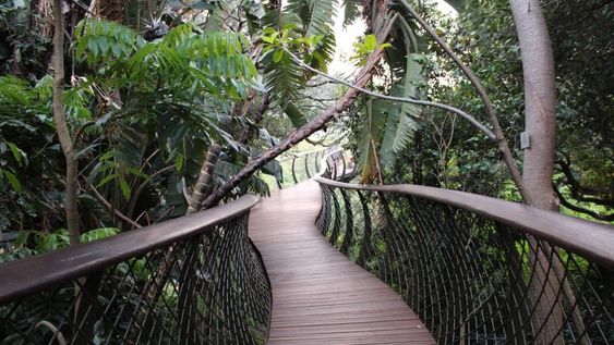 Construí un puente colgante en tu jardín