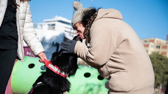 La Ciudad celebró una actividad de sociabilidad entre animales y personas con discapacidad