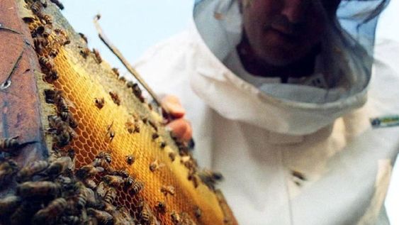 El Gobierno redujo a cero los derechos de exportación para unos 70 productos agroindustriales de exportación provenientes de las economías regionales -  Archivo / Los Andes