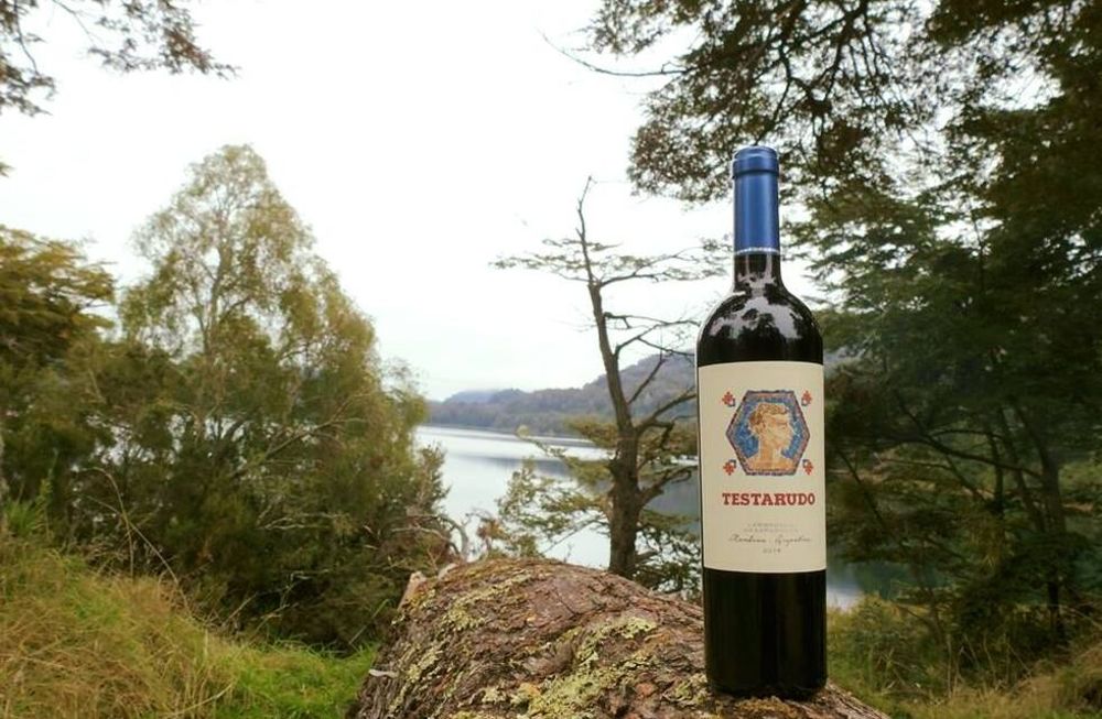 Testarudo, de Bodega Pumalek, un vino para soñadores “cabezaduras”