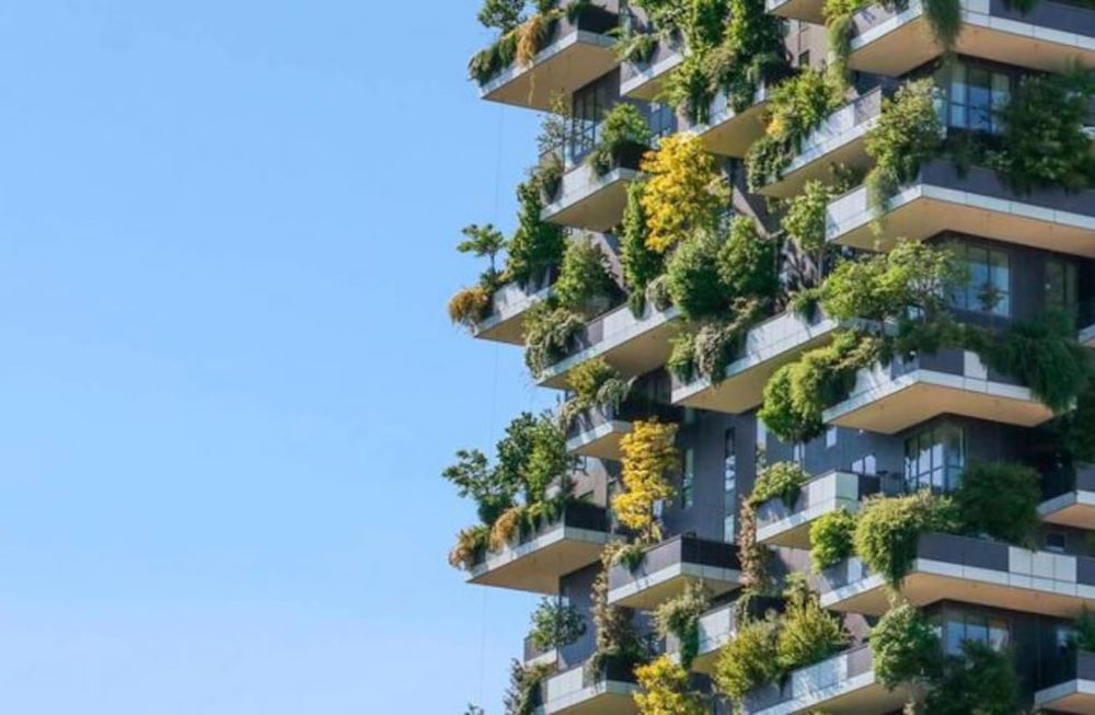 Capacitación sobre ambiente y desarrollo sostenible