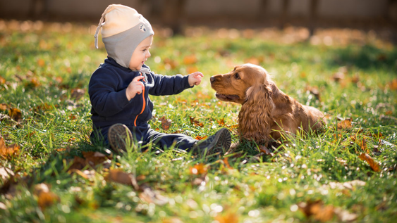Cuáles son las 3 razas de perros más amigables con los niños.