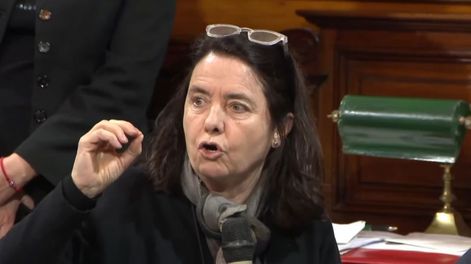 Polémica por los dichos de una senadora: No creo que los niños argentinos tengan derecho a venir al Garrahan.