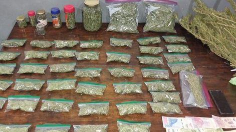 Los Andes | La marihuana decomisada en San Carlos. Gentileza Ministerio de Seguridad.
