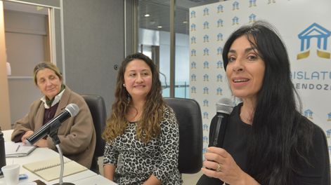 La Comisión de Hidrocarburos, Minería y Energía, presidida por la senadora Jésica Laferte, recibió a la geóloga María Ahumada para hablar sobre la industria minera metalífera.