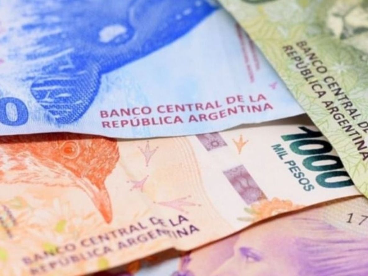 Las compras con tarjetas de Anses generan créditos a favor de sus titulares, y se pueden acumular más de $4.000 al mes en bonificaciones