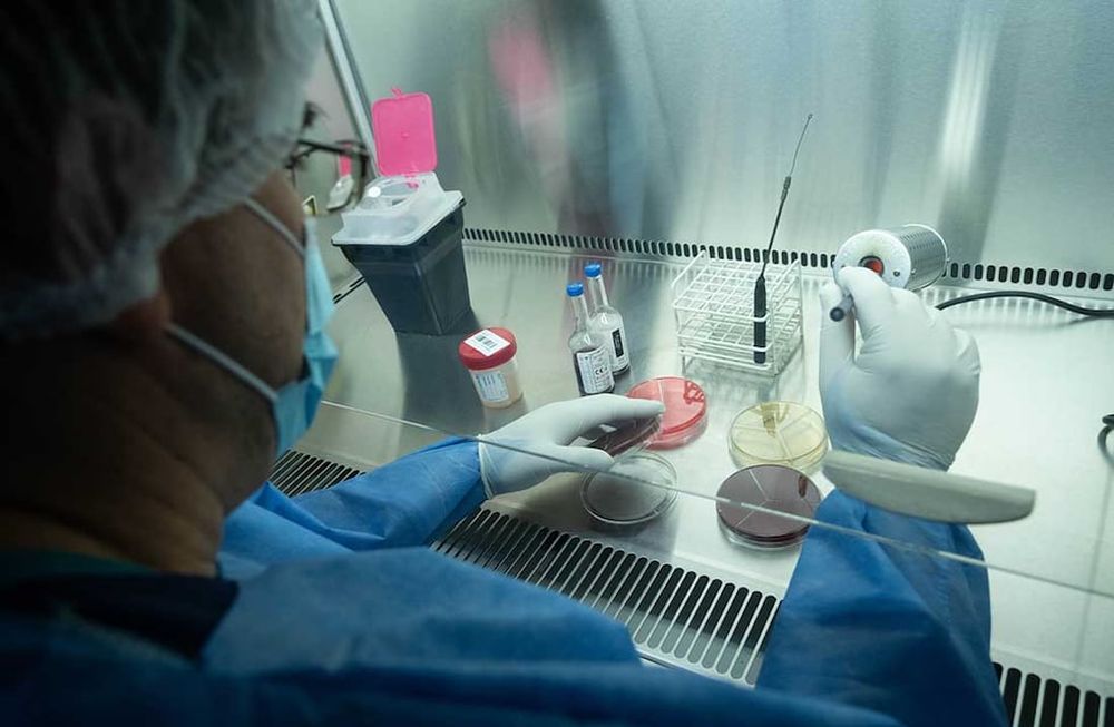 El laboratorio AstraZeneca, al igual que Merck, desarrolló un tratamiento vía oral contra el coronavirus. - Ignacio Blanco / Archivo Los Andes