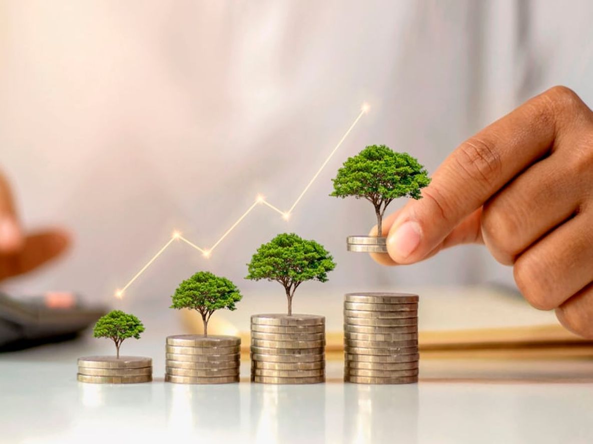 La sustentabilidad reporta beneficios significativos para las empresas (Foto: Shutterstock)