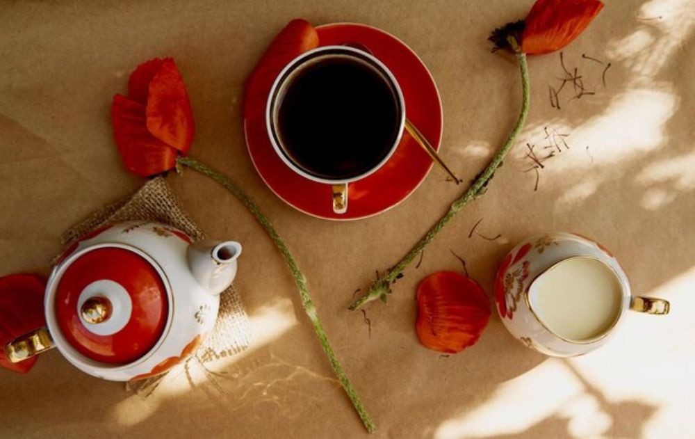A través de un té, frío o caliente, la ciencia dice que se puede mejorar el descanso nocturno con esta planta.