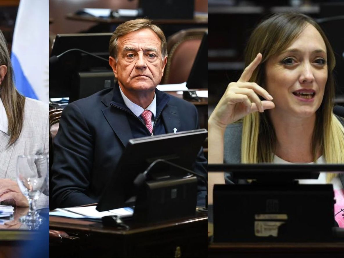 Los radicales Mariana Juri y Rodolfo Suarez acompañaron el proyecto del Gobierno. Anabel Fernández Sagasti no pudo participar de la sesión.