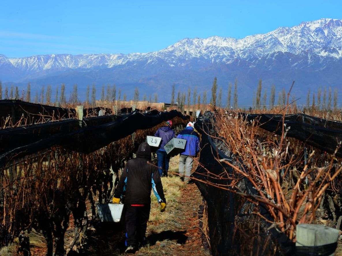 Imagen ilustrativa.  Foto: Claudio Gutierrez - Los Andes