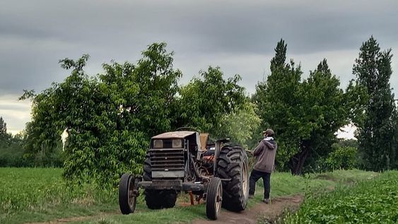 La prórroga del vencimiento para la inscripción en el Registro de Uso Permanente de la Tierra (RUT) y el Sistema de Información Agrícola (SIA). Foto: Gentileza