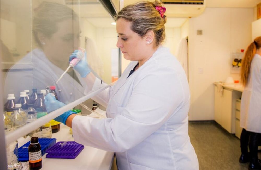 Con este galardón son 10 las científicas argentinas reconocidas con el premio internacional, todas ellas del Conicet. Foto: Gentileza