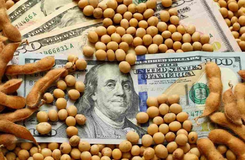 Dólar soja