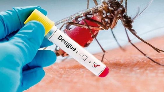 Campana nacional contra el dengue