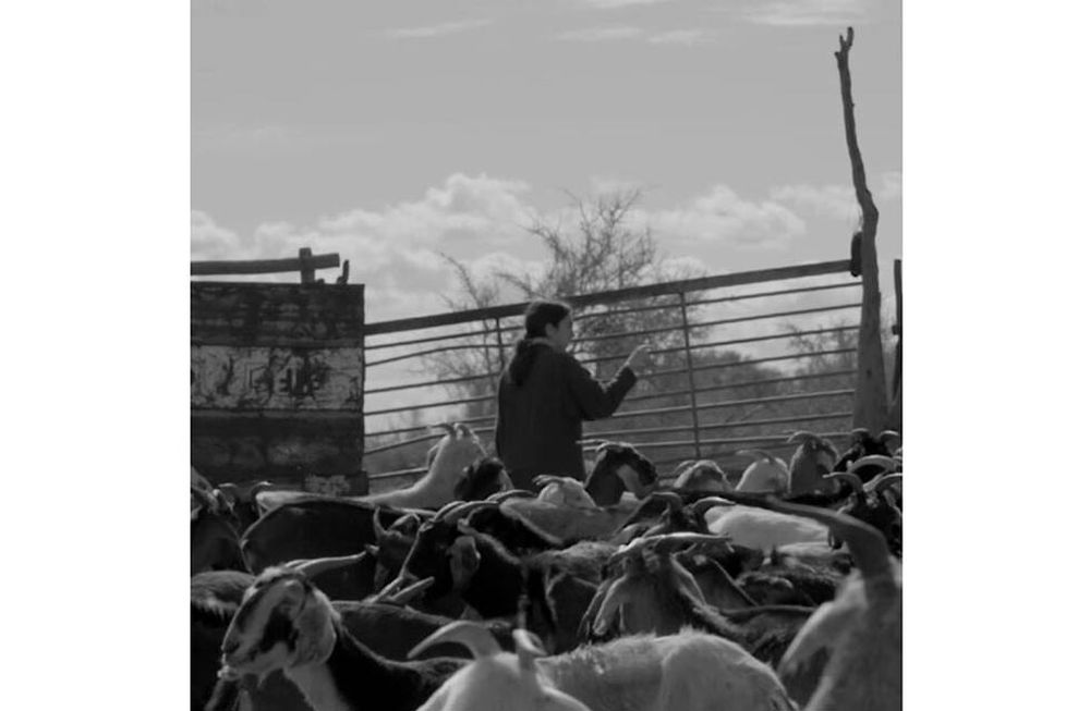 La Calma compite en el festival de Toulouse.
