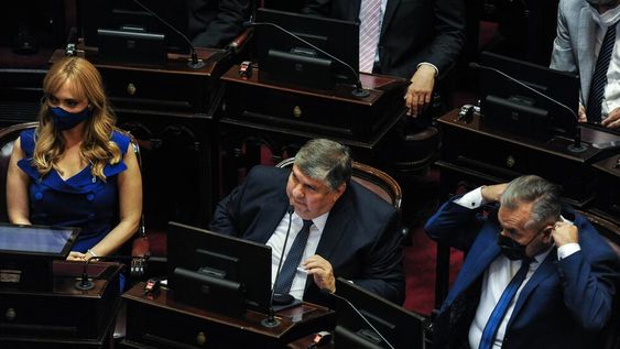 El formoseño José Mayans, jefe del bloque del Frente de Todos (Foto: Federico López Claro)