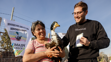 El Pato Juan ahora tiene DNI maipucino, alimento gratis y una guía antiestrés