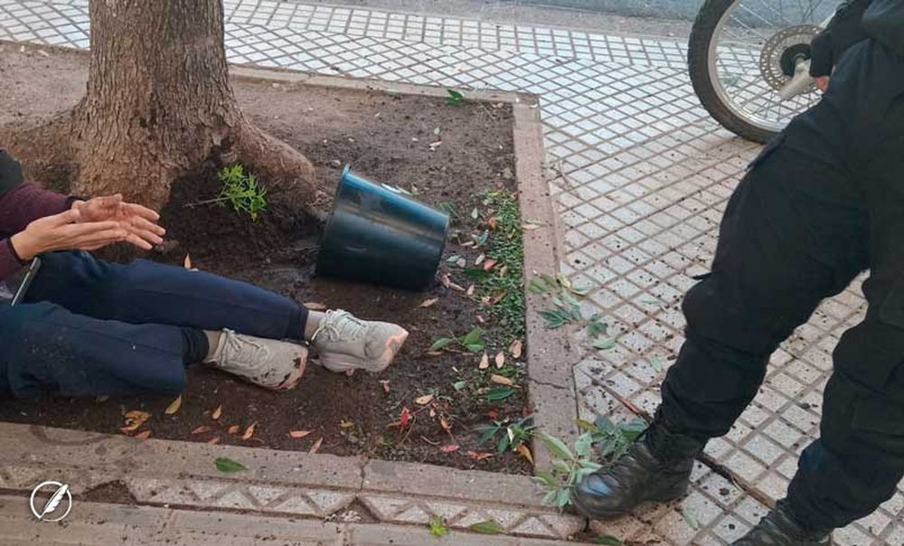 Insólito: caminaba por la vereda y le cayó desde un balcón una maceta con una planta de marihuana