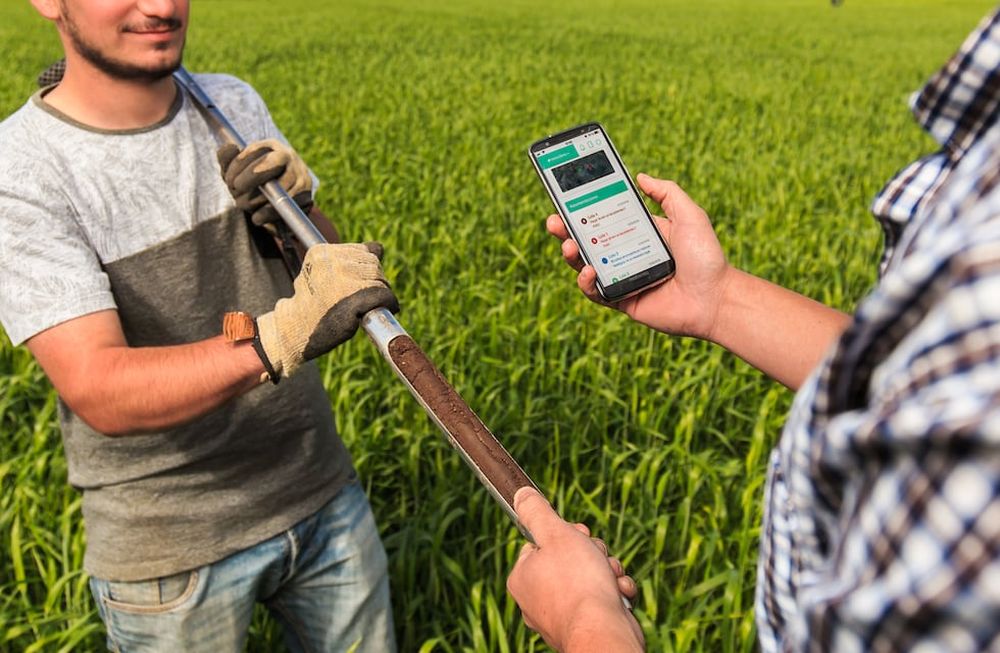 Proteínas vegetales: cómo producir alimentos para una dieta balanceada