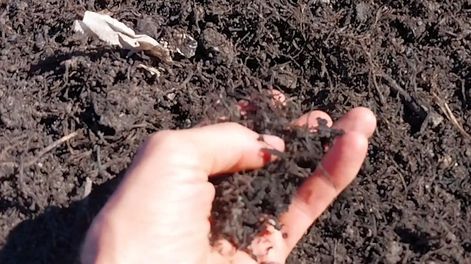 El compost es un componente muy rico en nitrógeno y materia orgánica.