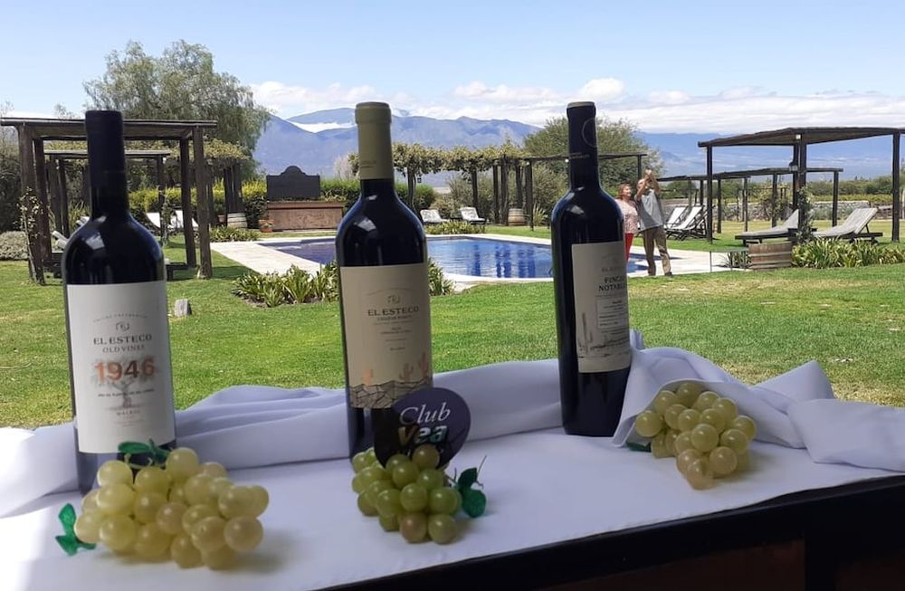 El Club VEA Vinos nació en Mendoza, y ahora se extiende a todo el país