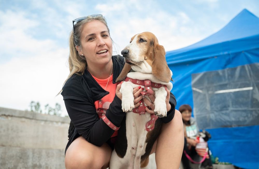 Salud animal: estos serán los lugares de atención del Móvil Veterinario en diciembre