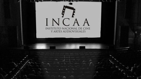 Aseguran que habrán más despidos en el INCAA