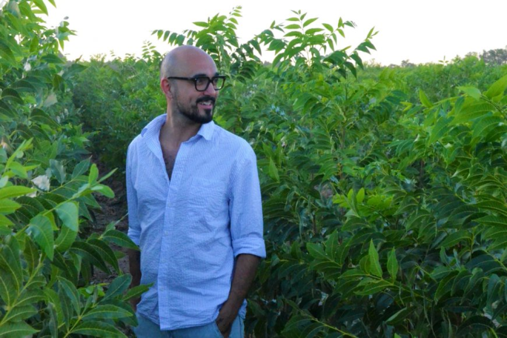 Abel Pintos ya incursionó en el negocio de pistacho y aceitunas, en su provincia.