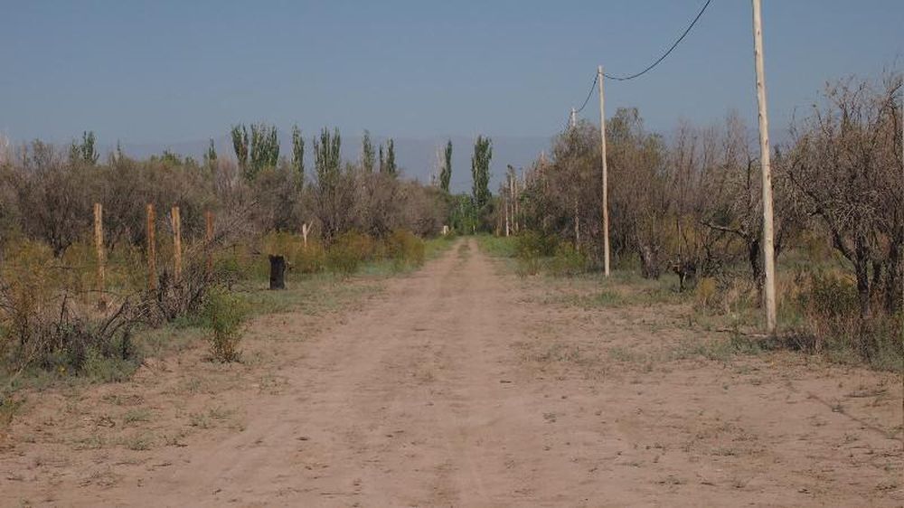 Las tierras que Abel Pintos compró en Mendoza, foco de una estafa y una amenaza de desalojo. Foto: gentileza Radio Tierra Campesina.