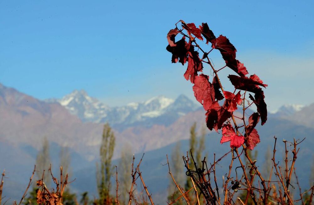 De cara al año que comienza, Mendoza es la única provincia de país incluida en este listado, confeccionado en conjunto con expertos en la industria global, que proponen visitar lugares en “la era post pandemia”.