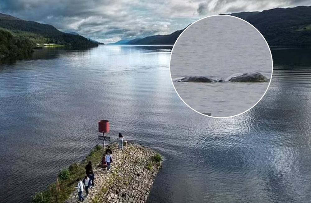 Después de presenciar el inusual avistamiento, Kelly tomó la valiente decisión de capturar la escena en 71 fotografías, que mantuvo en secreto por miedo al escrutinio público