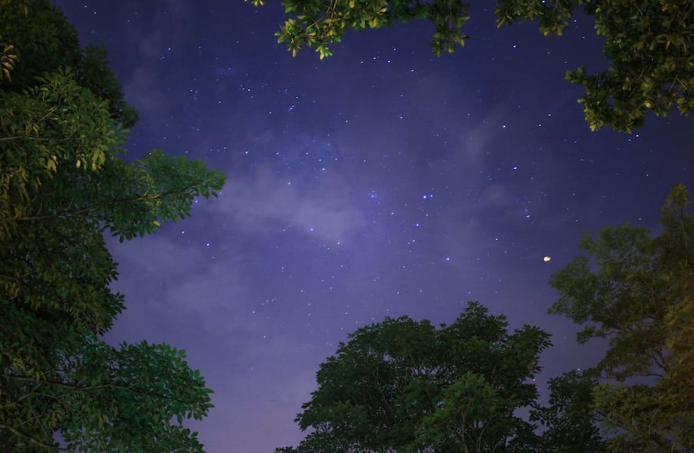 Los números mágicos son 2, 36, 20, 55 pero hay una sorpresa oculta para otras cifras