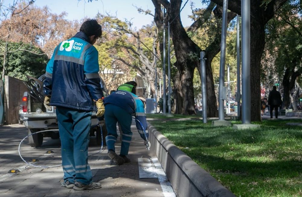Cronograma de servicios públicos semanal