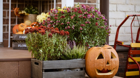 Ideal para la decoración de Halloween: 4 ideas para reciclar en tu casa sin gastar de más